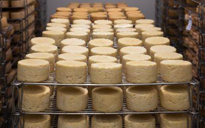 Llevamos a las Cortes una iniciativa ciudadana para mejorar e impulsar la venta local de productos agroalimentarios