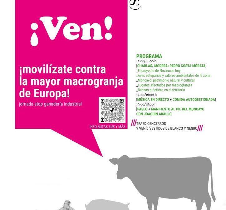 Movilización en Noviercas contra la macrogranja