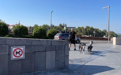 Ganar Teruel – IU Teruel reclama la creación de corredores de paso en los parques para que los propietarios de las mascotas puedan atravesarlos