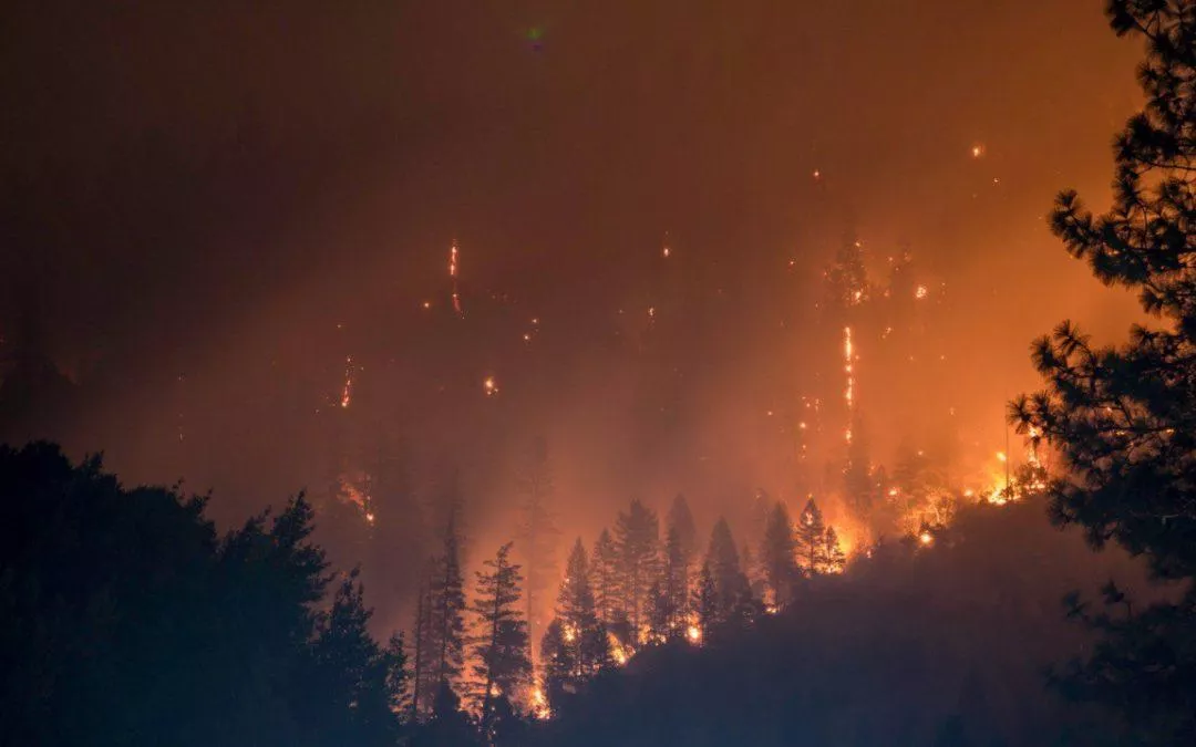 Izquierda Unida apoya la creación de una Comisión de Estudio sobre prevención y lucha contra los incendios forestales para reforzar las políticas públicas frente al nuevo escenario climático