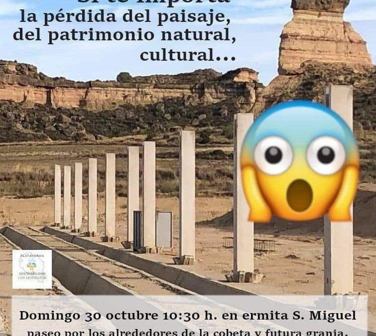 Caminata por la defensa del patrimonio natural