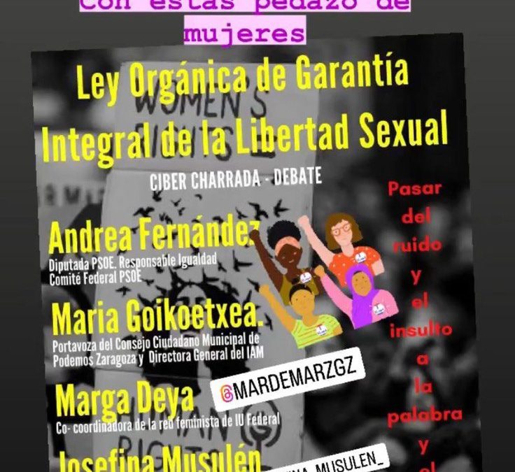 Ciber charrada sobre la Ley Orgánica de Garantía Integral de la Libertad Sexual