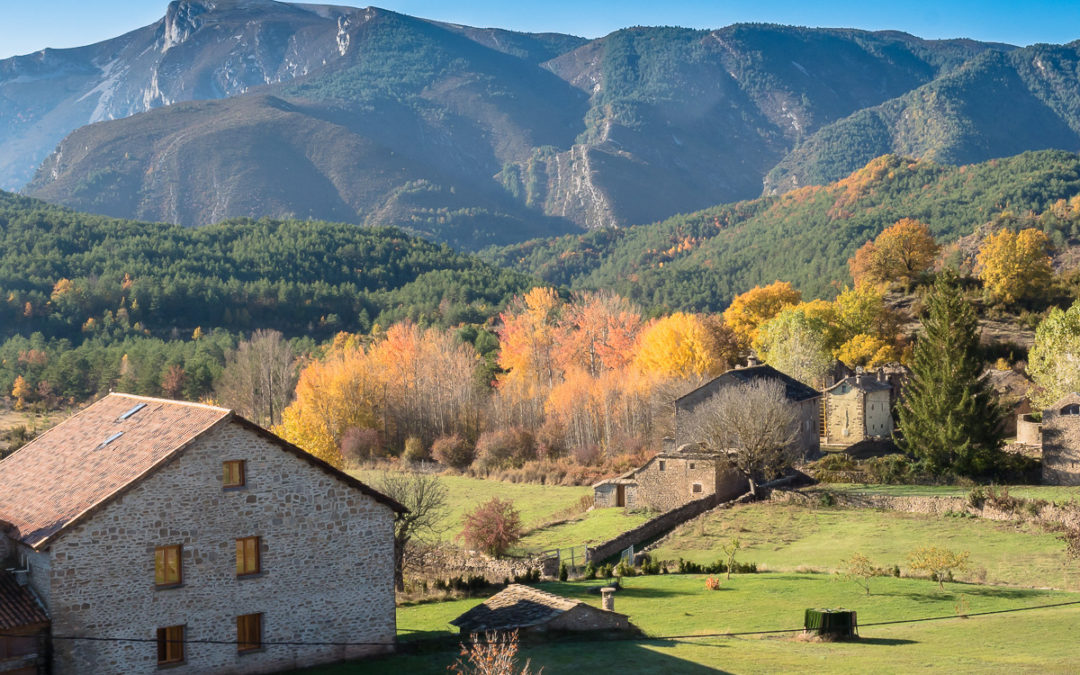 IU Altoaragón se opone a la pista forestal entre Bara y As Bellostas y apoya las alegaciones de Ecologistas en Acción y Guarguera Viva