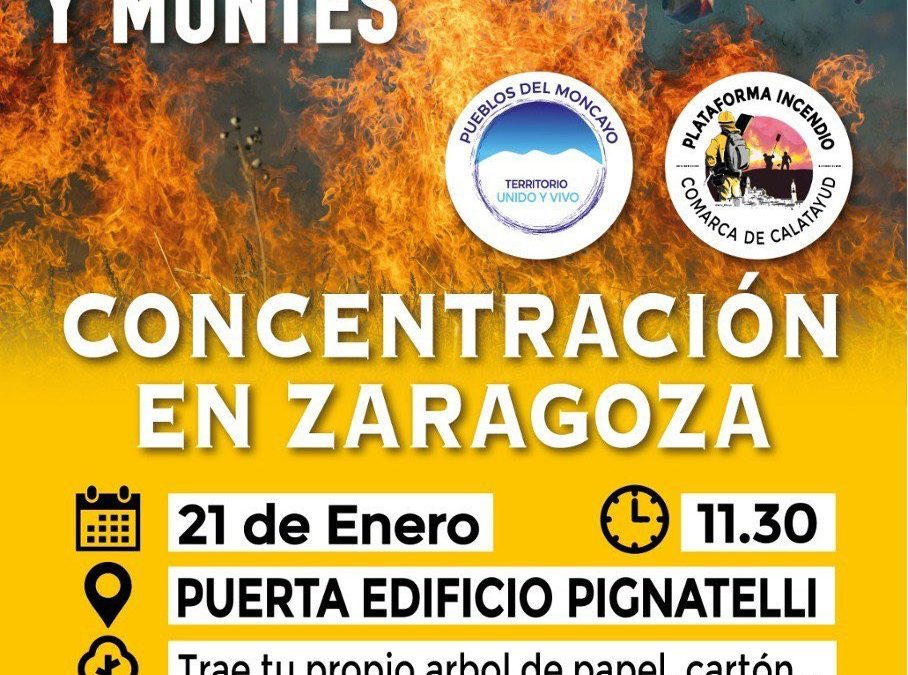 Exigimos al Gobierno de Aragón que atienda las demandas de los pueblos afectados por los incendios