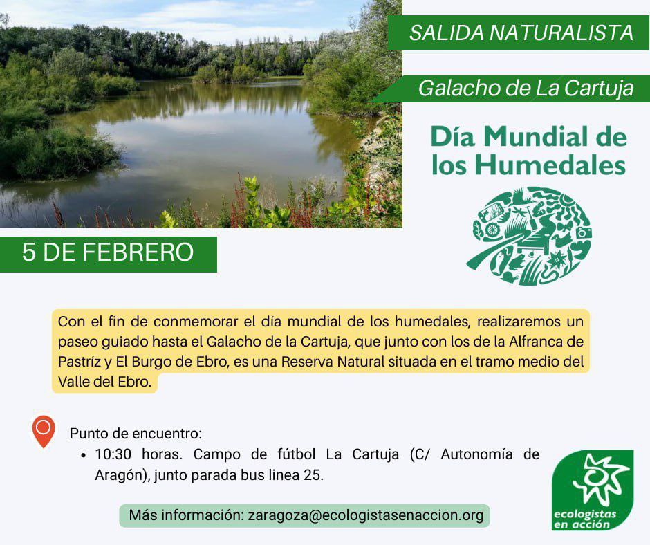 Día Mundial de los Humedales: salida naturalista
