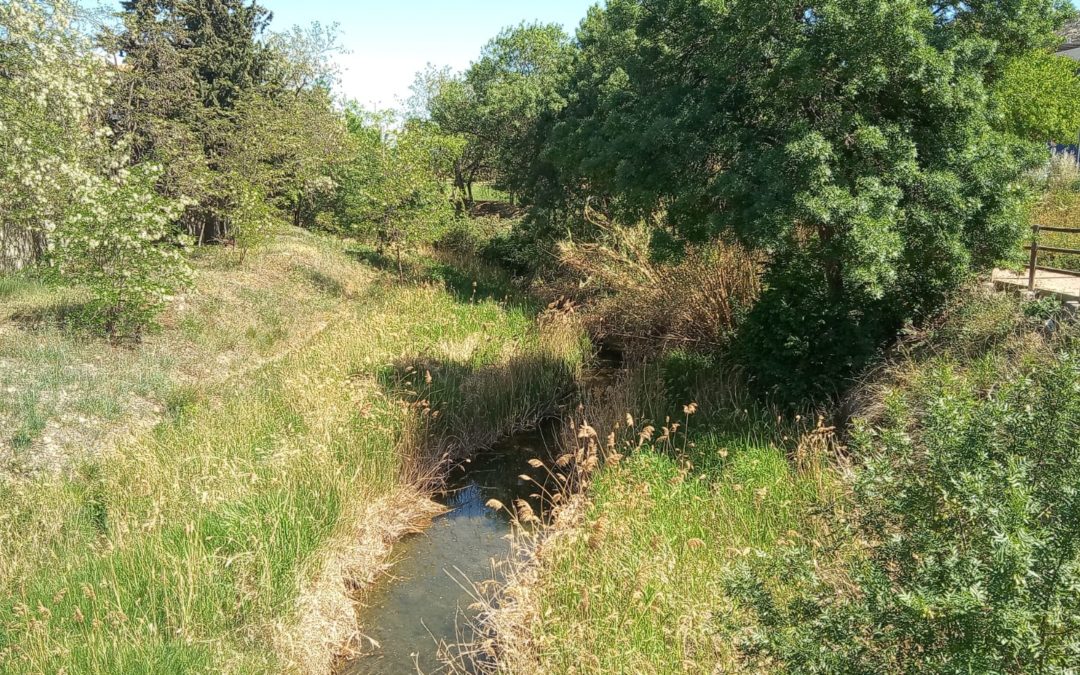 IU Cadrete teme que se desbroce el río Huerva “sin control”