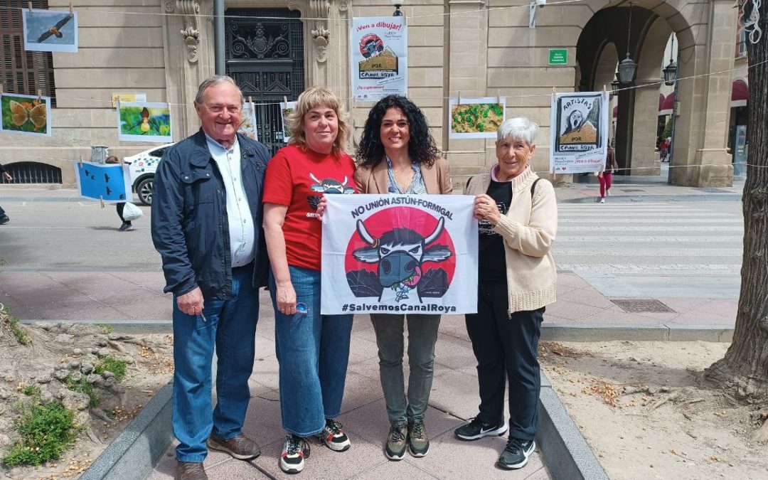 ELECCIONES 2023 / Cambiar Huesca quiere una ley que garantice un mínimo vital de agua, proteger el Isuela, los campos y el Pirineo