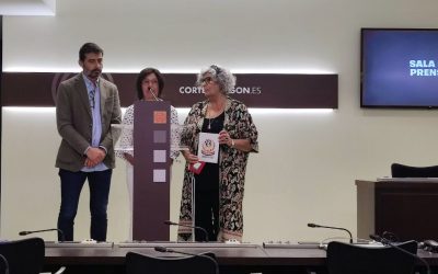 Sanz pide a Azcón que se aleje de visiones partidistas y cumpla con la ley de memoria