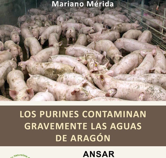 Charla en ANSAR sobre purines que contaminan las aguas de Aragón