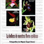 Exposición: La belleza de nuestras flores exóticas, Huesca