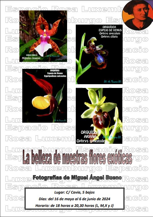 Exposición: La belleza de nuestras flores exóticas, Huesca