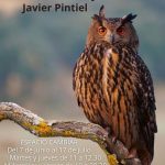 Exposición: Mirada Salvaje