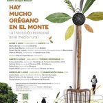 Hay mucho orégano en el monte