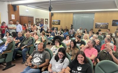La protectora Paticas consigue frenar su desahucio con el respaldo de la población y gracias a la moción presentada por Alagón en Común