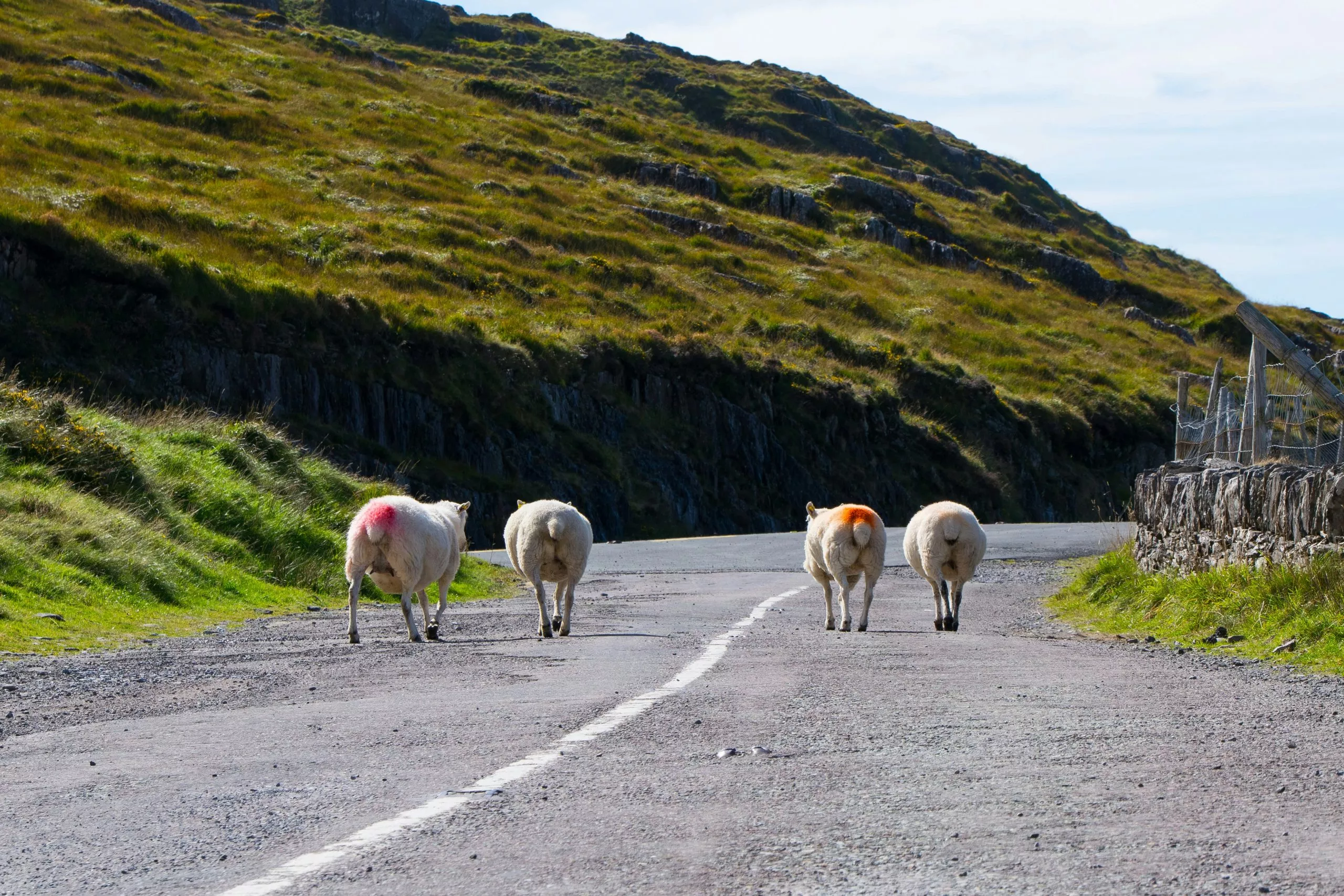 Thomas Bormans en Unsplash Thomas Bormans en Unsplash