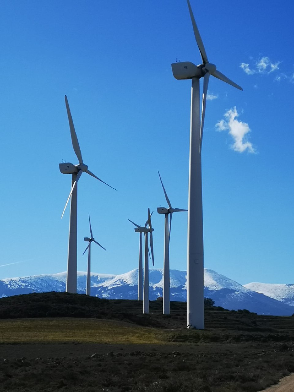 Implantación de renovables en el Moncayo. Foto de Eduardo Viñuales