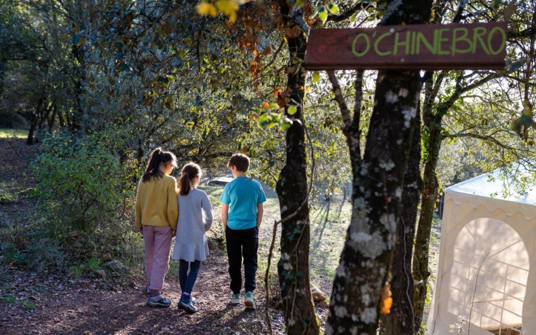 Izquierda Unida Alto Aragón exige al Gobierno aragonés una solución urgente para salvar la escuela rural de Caneto