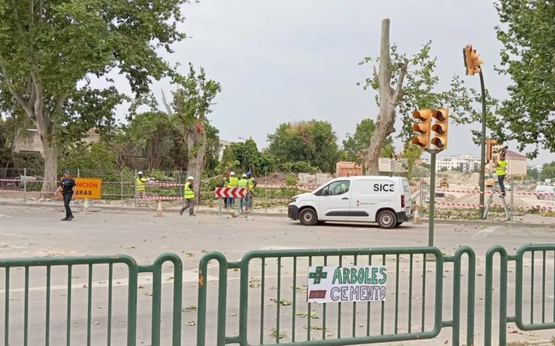Cambiar Huesca–Izquierda Unida exige al Ayuntamiento que paralice la tala de árboles en Martínez de Velasco
