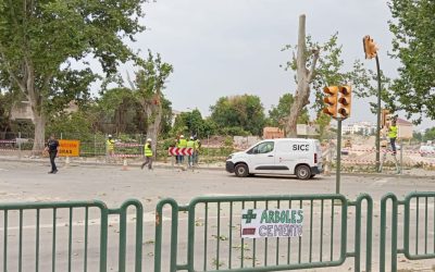 Cambiar Huesca–Izquierda Unida exige al Ayuntamiento que paralice la tala de árboles en Martínez de Velasco