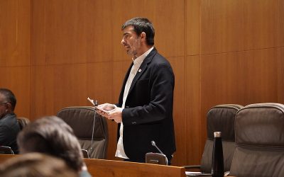 Sanz condena la degradación institucional provocada por la presidenta de las Cortes de Aragón