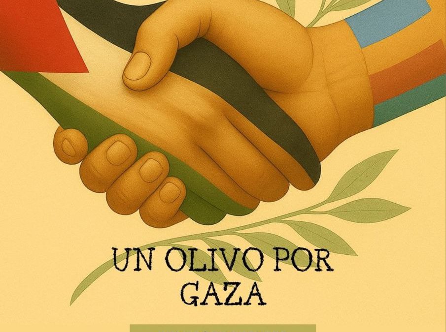 Un olivo por Gaza, Andorra