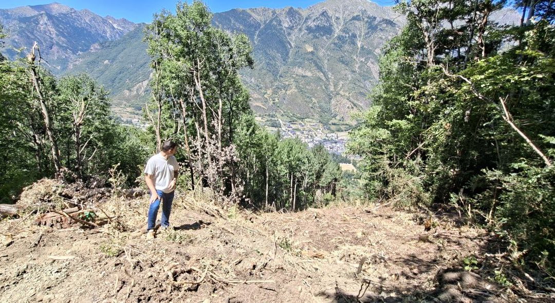Izquierda Unida exige la paralización inmediata del proyecto de telecabina Benasque-Cerler