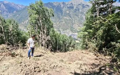 Izquierda Unida exige la paralización inmediata del proyecto de telecabina Benasque-Cerler