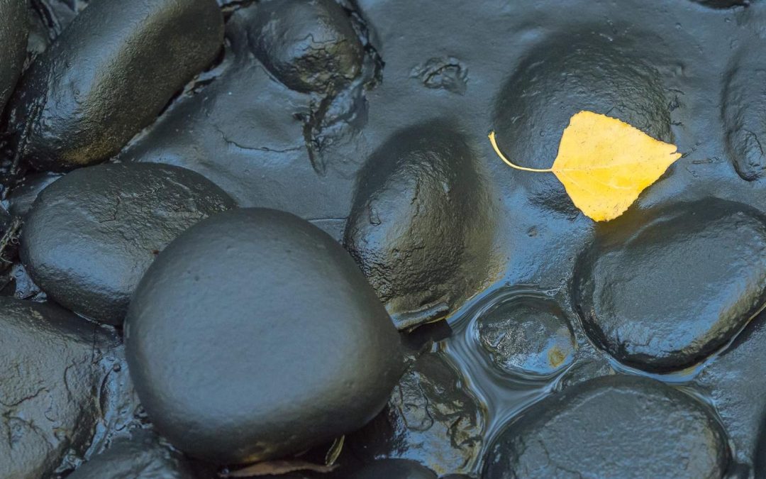 Cambiar Monzón exige la retirada inmediata de los vertidos tóxicos de Carburos del Cinca en el río Cinca