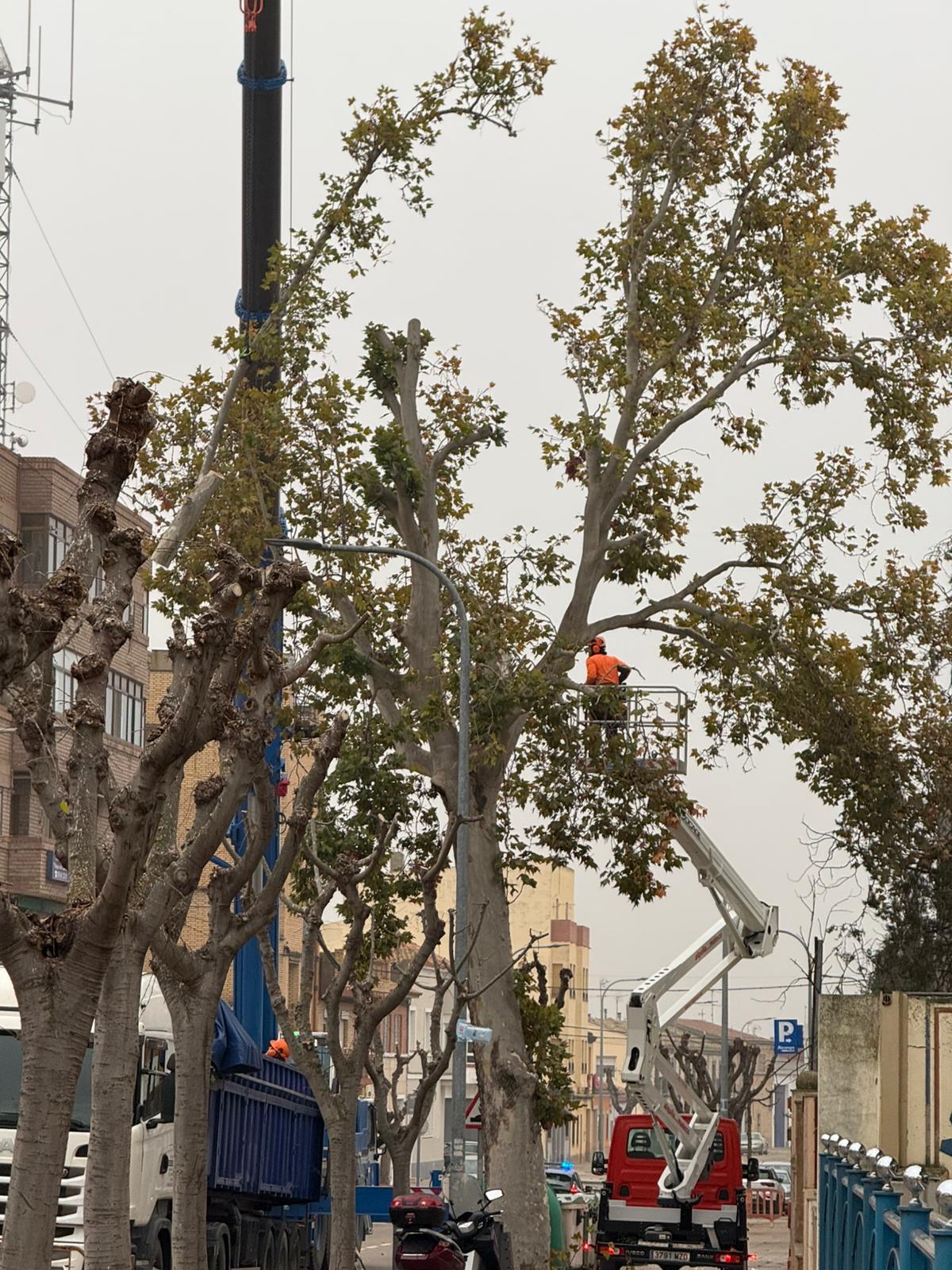 WhatsApp Image 2025-12-12 at 09.12.40