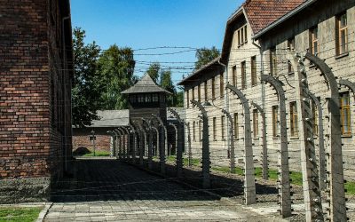 Izquierda Unida se suma al homenaje a las víctimas del Holocausto y reivindica la memoria como dique frente al fascismo