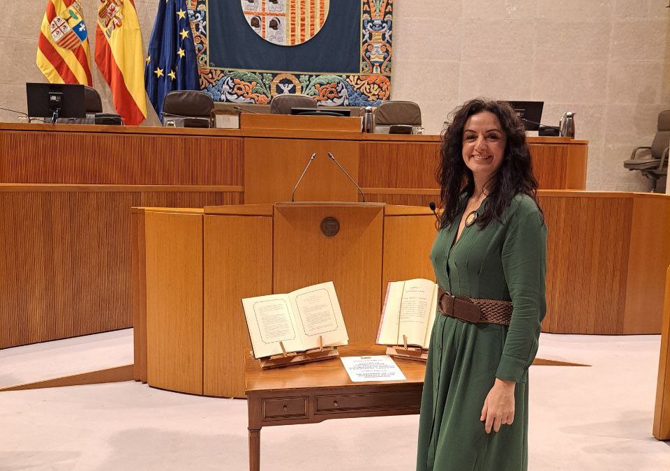 Marta Abengochea: “Arranca la XII Legislatura marcada por la inestabilidad y por la necesidad urgente de defender a Aragón de las políticas de ultraderecha”