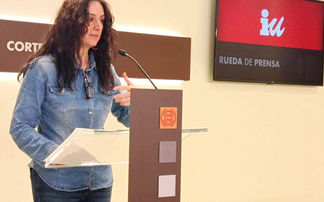 Izquierda Unida denuncia el “modelo de bajo coste” en dependencia y el abandono de la red pública de servicios sociales