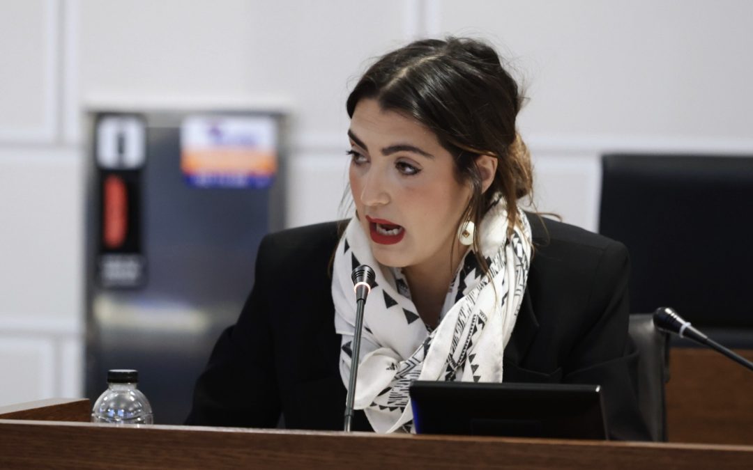 En Común-Izquierda Unida defiende en el Pleno de la DPZ un convenio digno para las trabajadoras de la limpieza