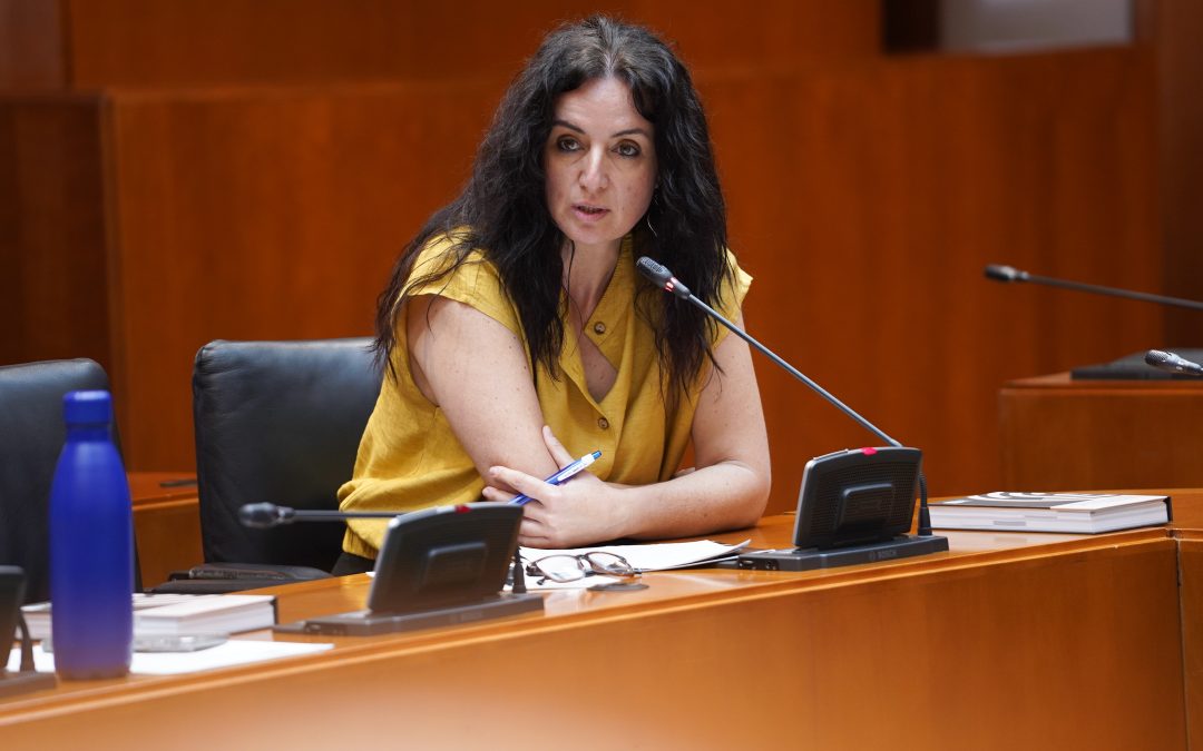 Izquierda Unida Aragón apuesta por reforzar el deporte base frente a rescates encubiertos a entidades privadas
