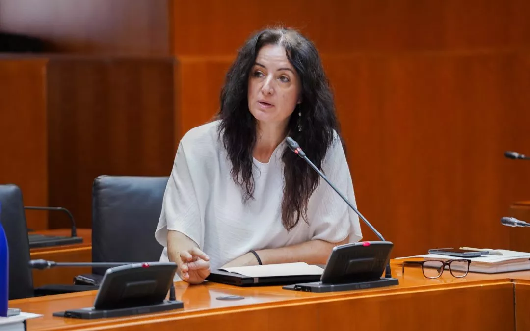 Izquierda Unida acusa al Gobierno de Aragón de falta de voluntad política en la acogida de menores migrantes tras un nuevo revés del Supremo