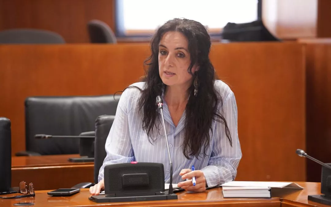 Izquierda Unida reclama que la seguridad privada no resolverá el colapso de la red de protección de menores 