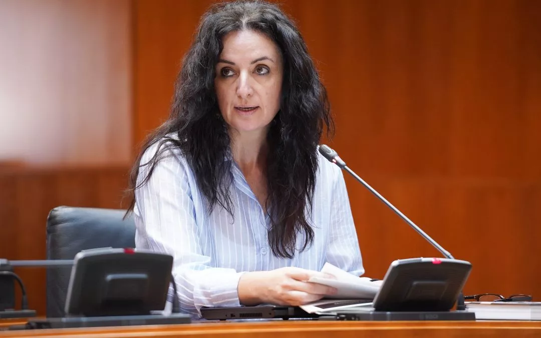 Abengochea: “La realidad desmonta los bulos y el relato de saturación de PP y Vox sobre la acogida de menores migrantes en Aragón”