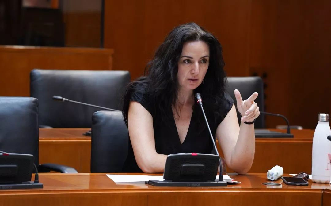 Abengochea: “Exigir transparencia y legalidad no es atacar al Real Zaragoza, sino proteger el interés general frente a intereses privados financiados con dinero público”