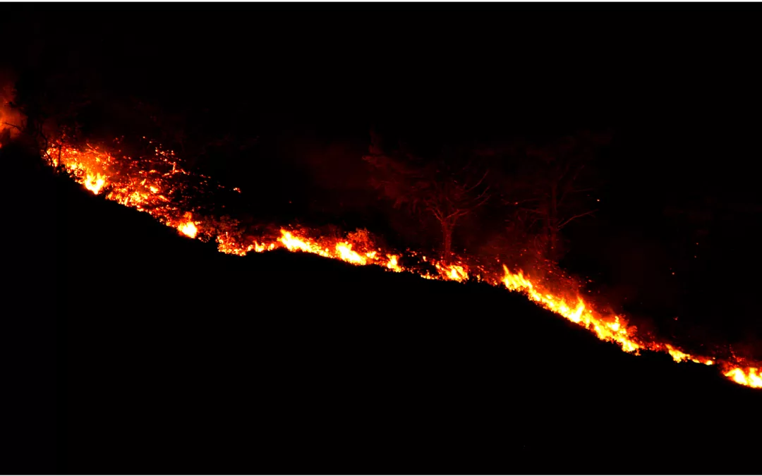 Izquierda Unida reclama una revisión integral de la prevención y extinción de incendios y una comisión de investigación en las Cortes de Aragón sobre el incendio de Las Peñas de Riglos